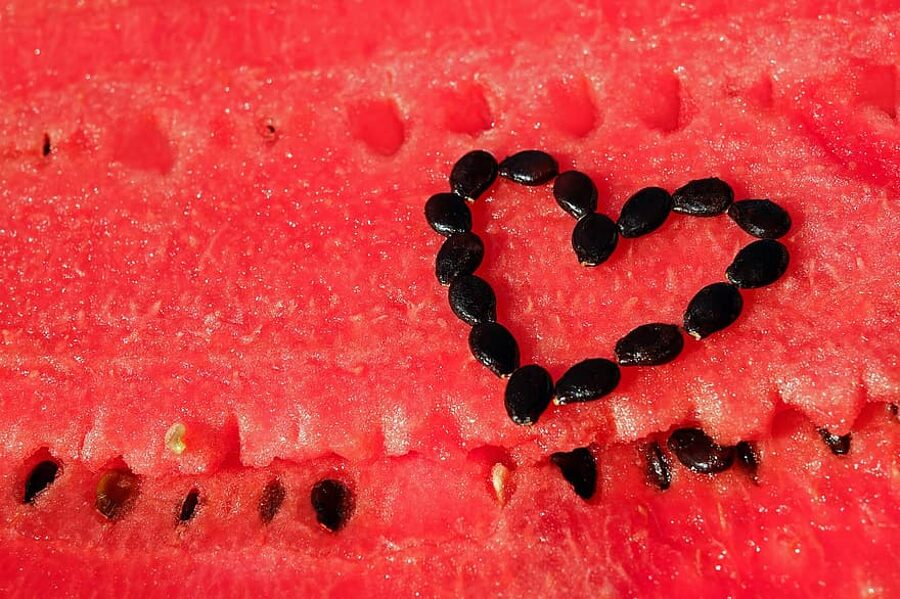 Arbuza sīklas
