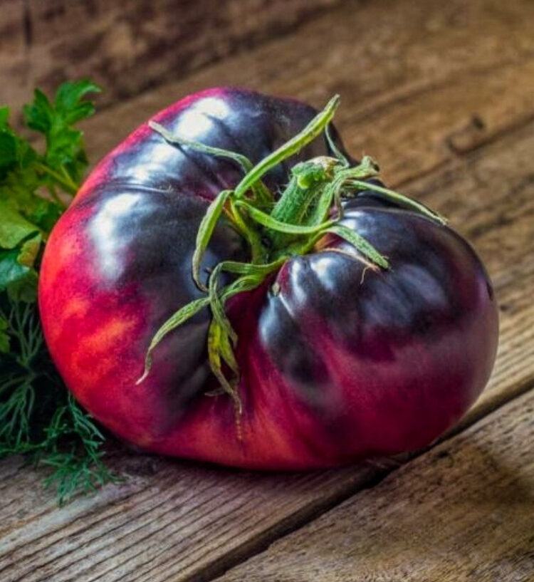 Ametyst jewel. Sarkani un zili tomāti. Kolekcijas šķirne. Tomātu sēklas. 