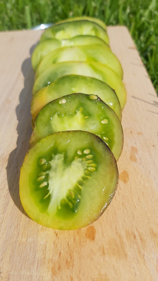 Ксанду Зелёная Богиня (Xanadu Green Goddess) — редкие семена зелёных томатов