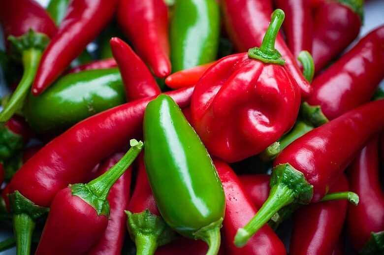 Halapeņjo čili piparu sēklas – vidēji asi Jalapeño. 