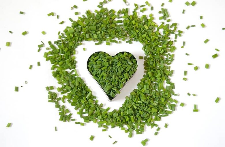 Maurloks – pirmais pavasara garšaugs!