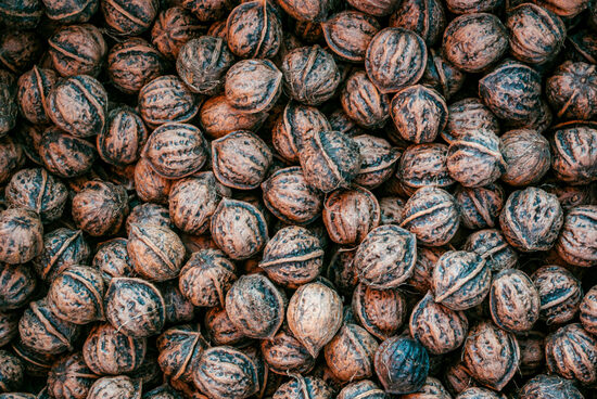 Nördliche Walnuss (Juglans regia). Walnusssamen für nördliche Klimazonen