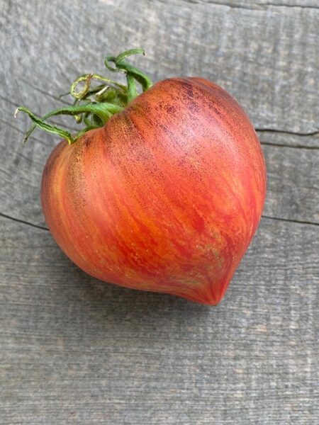 Churshed Hert.Beautiful, colorful, hardy greenhouse/field tomatoes. Tomato seeds.