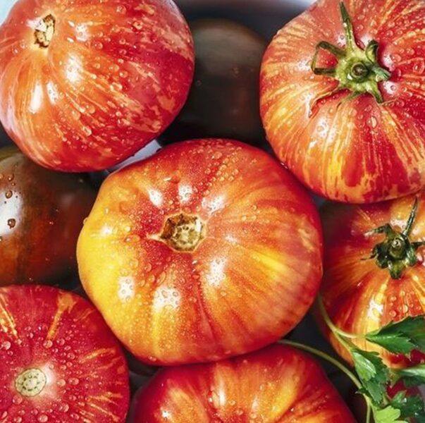 Two colors. Tomato seeds.