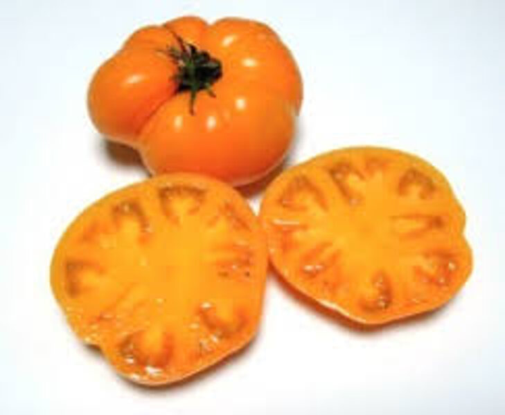 Dwarf BLAZING BEAUTY rare, beautiful, low tomato seeds.