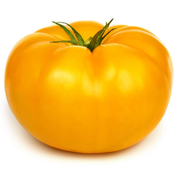 Dwarf Summertime gold. Yellow, field, greenhouse tomatoes. Tomato seeds.