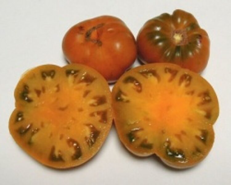 Dwarf Uluru ocre.Ground, field, greenhouse tomatoes. Seeds.