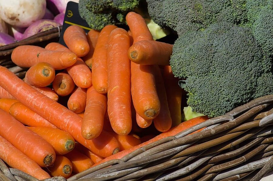 Coral carrots. Daucus carota L. Seeds.