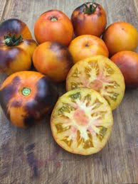 Lucid gem. Greenhouse/field tomato seeds.