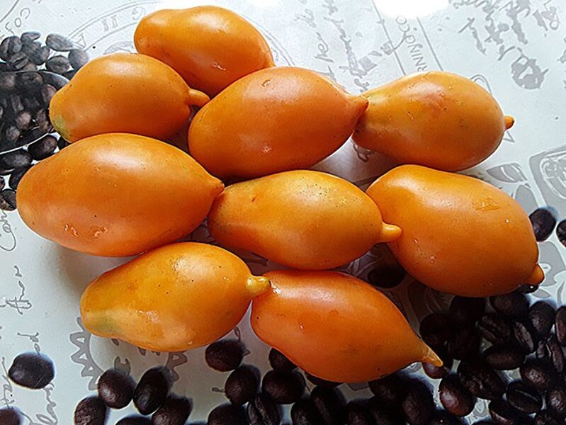 MANGO. Seeds of delicious, yellow, greenhouse tomatoes.