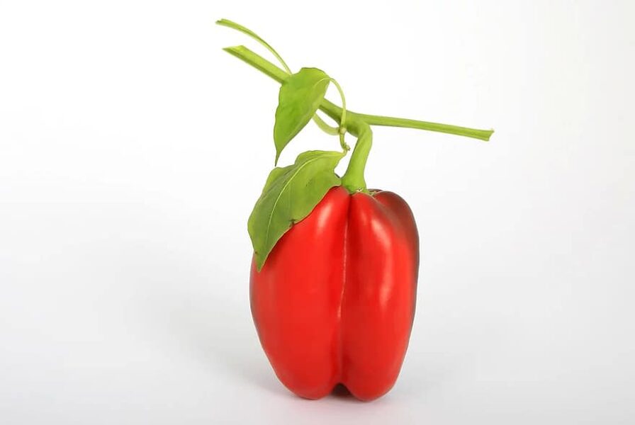 Fatima. Paprika. Capsicum annum L.