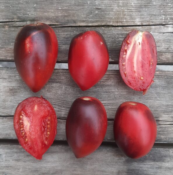 PASCAL DE PICARDIE. Reti, skaisti, siltumnīcas tomāti. Tomātu sēklas. 