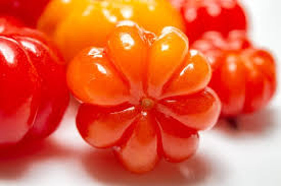 Pitanga red. Red, ribbed, greenhouse tomato seeds.