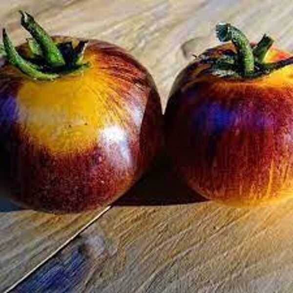 Ussuri Tiger. Tomato seeds. Rare variety for a greenhouse.