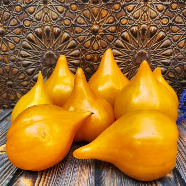 ZAILIYSKY ALATAU yellow tomato seeds. 