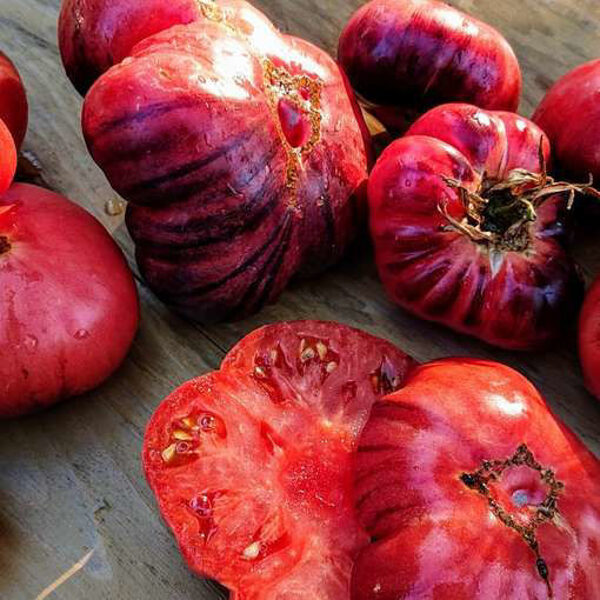 Ametyst jewel. Red and Blue Tomatoes. Collection variety. Tomato seeds.