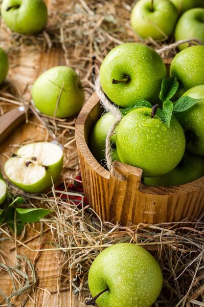 Antonovka. ziemeļu savvaļas ābele. Malus Domestica.