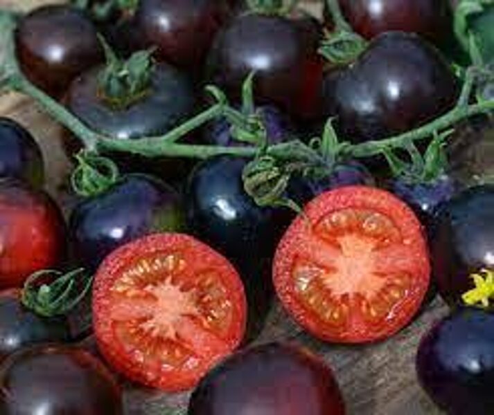 Pomidorų veislė „Black Ball (Juodi Kamuoliai)” – juodųjų pomidorų sėklos gražiems, saldiems ir derlingiems vaisiams auginti sode ir šiltnamyje