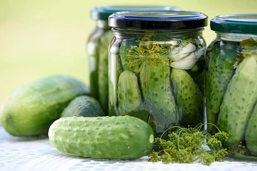Cornichon de Paris. Sēklas. Gurķi. Cucumis sativus L. 