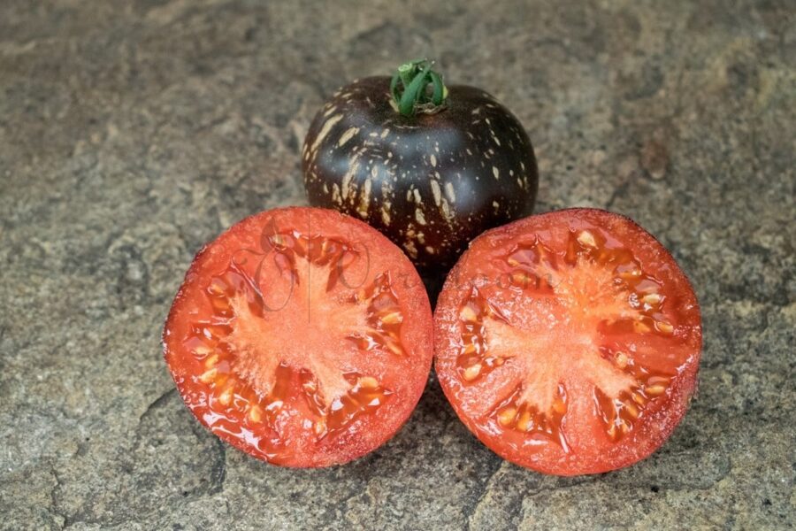 Cosmos. Pomodori da serra esotici, belli e produttivi che cambiano colore. Semi di pomodoro.