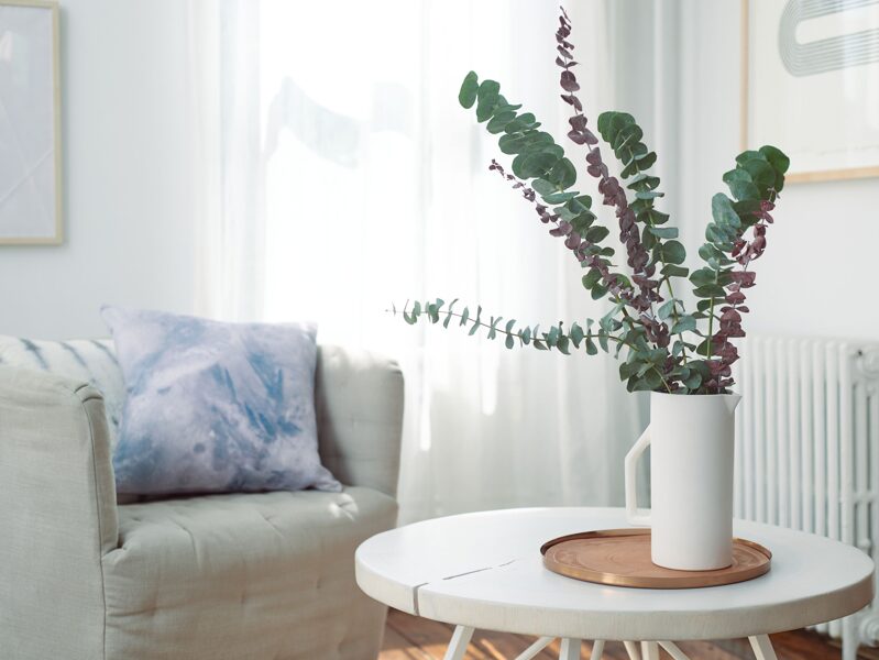 Eikalipts zilganais Baby blue bouqet