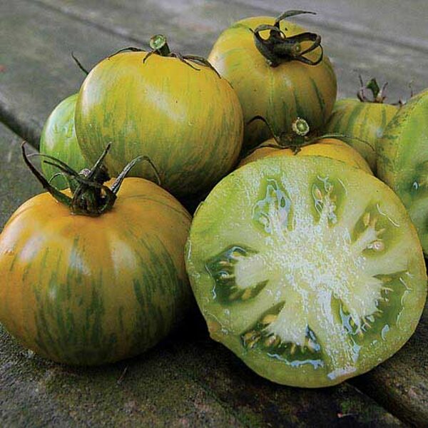 Green Zebra. Tomato seeds.