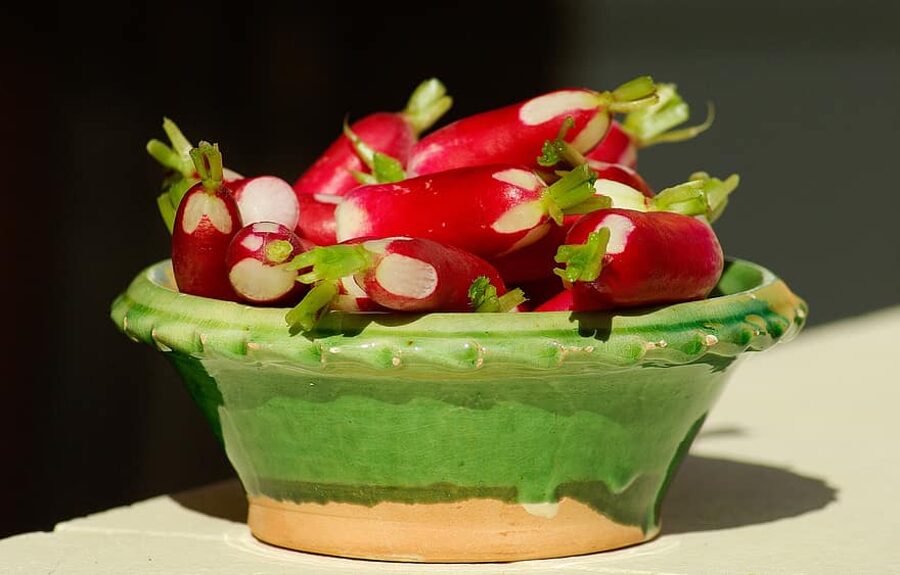 Redīsi. Radish. Sēklas.