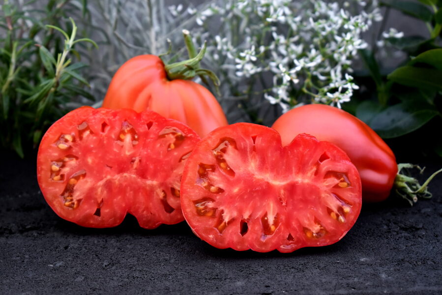 Red Pear. Red tomatoes seeds.