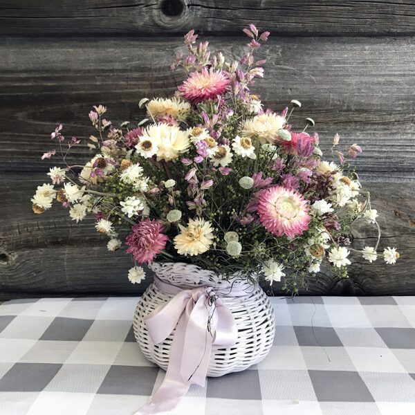 Halm MIX. Frø. Helichrysum bracteatum