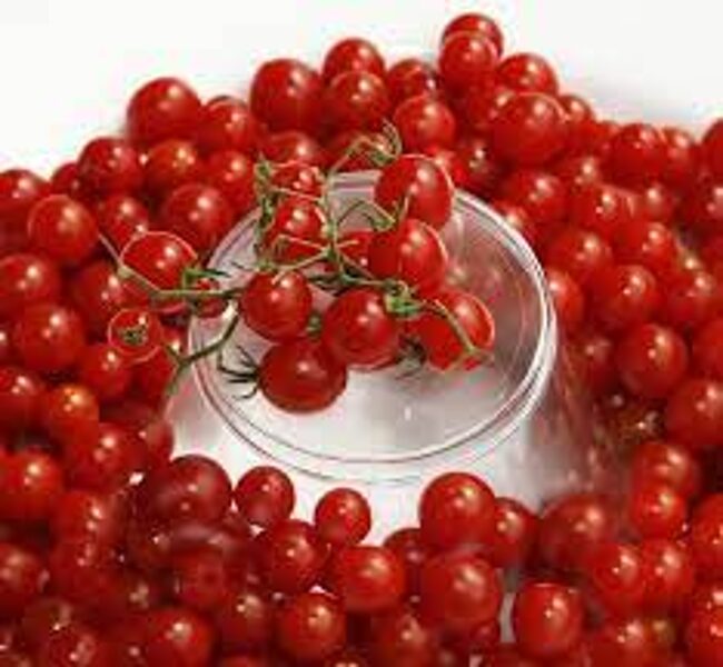 Red peas. For pots, greenhouse, garden. Tomato seeds.