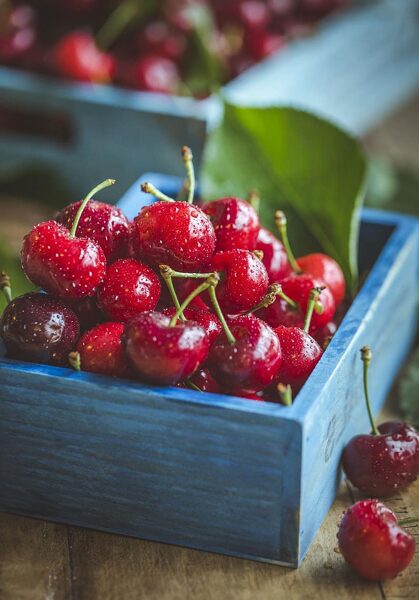  Skābais ķirsis sēklas. Prunus cerasus