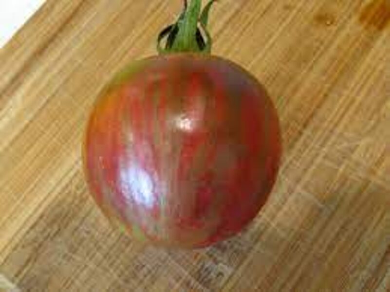 Tzi Bi U. Greenhouse/Field Tomato Seeds.