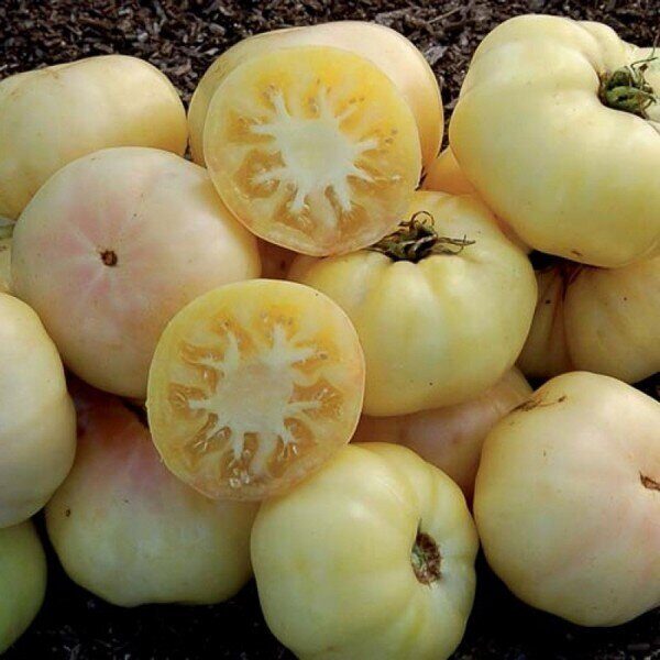 White Beauty. Sementes de tomate branco.