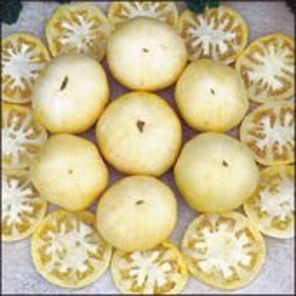 White Beauty. White tomato seeds.