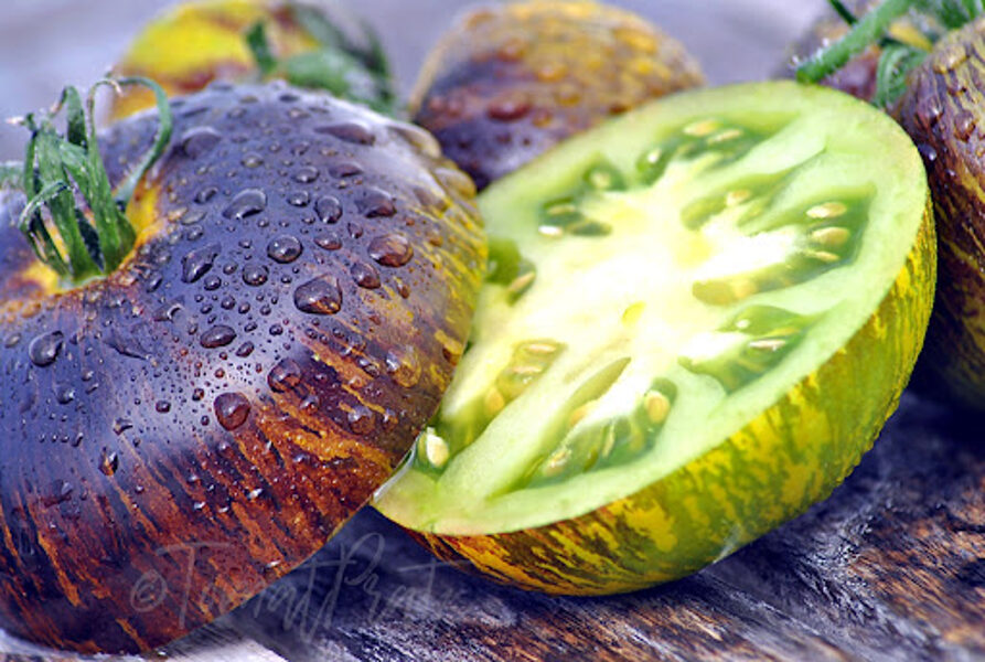  Xanadu Grüne Göttin (Xanadu Green Goddess) — seltene Sorte grüner Tomatensamen